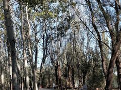 -北京麋鹿生态实验中心