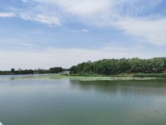 -大兴滨河森林公园