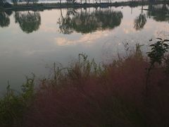 -东湖落雁景区