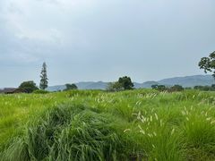 -良渚古城遗址公园