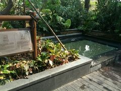 -厦门日月谷温泉渡假村