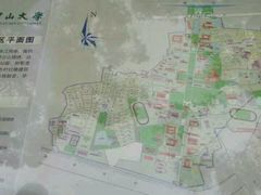 -中山大学学者灵芝(园南路店)