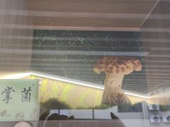 -七采菌园·野生菌石锅鱼(环城北路店)