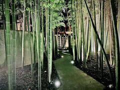 -穹六人间 people 6(岳阳路店)