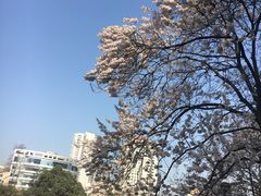 -成都市活水公园