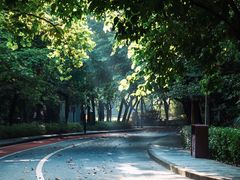 -水濂山森林公园