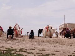 -青海湖国家重点风景名胜区