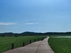 -御道口草原森林风景区