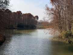 -上海海湾国家森林公园