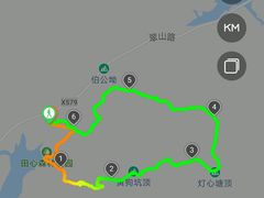 -田心森林公园