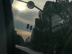 -春花秋色城市公园