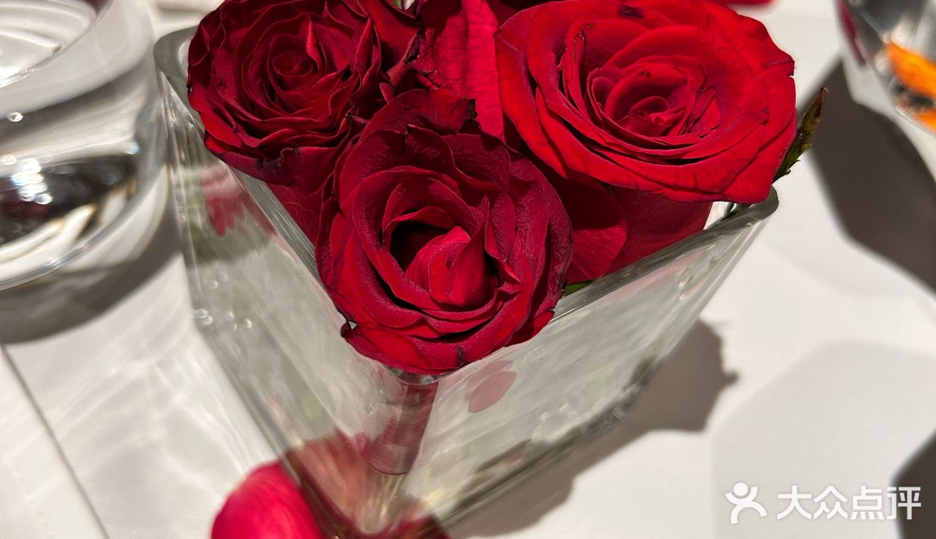 Unda2 · 仪式感满分的高端体验