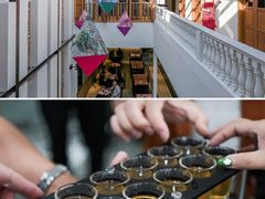 -荷兰红屋