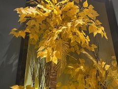 -渝乡辣婆婆·川菜 水煮鱼(安平店)