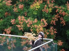 -武汉荟聚