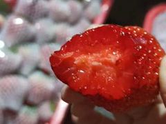 -菜园坝水果市场