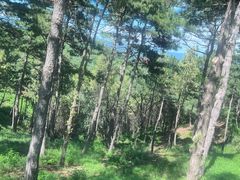 -承德避暑山庄景区