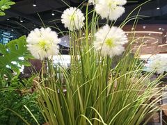 -砂之船奥莱(南京江宁店)