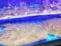 -鸽子侯·家宴·平价海鲜(市图书馆店)