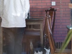 -联营烧麦(乌兰察布店)