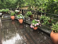 -龙门阵茶屋川菜馆(武康路店)
