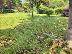-宜兴龙背山森林公园