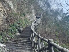 -仙岛湖旅游风景区