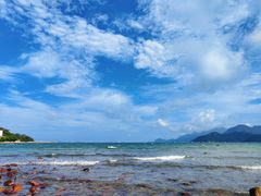 -花海间·即刻露营