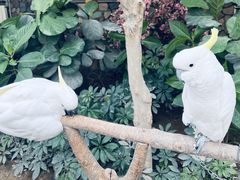 -南宫五洲植物乐园