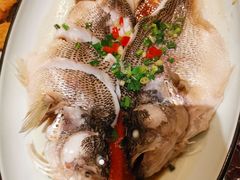 清蒸鲈鱼-新白鹿餐厅(爱琴海购物中心店)