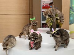 -陕西自然博物馆