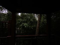 -七仙岭温泉国家森林公园
