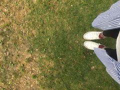 -崇明东平国家森林公园烧烤房车露营地