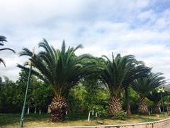 -世界恐龙谷景区