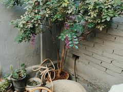 -郭师傅冰稀饭(人民路店)