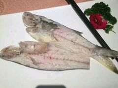 -沙田轩(古北店)