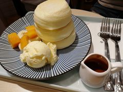 -王守财小山園