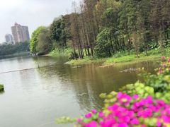 -畔山酒店中餐厅