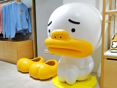 -KAKAO FRIENDS(弘大店)