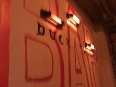 -Ducktail