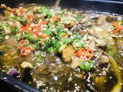 清江藤椒烤鱼-小小河边鱼(天润城店)