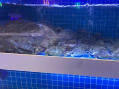 -花西亭·海鲜自助餐厅(瑞城名人酒店)