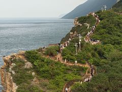 -杨梅坑