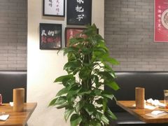 -湘里乡亲甲王二老店
