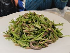 芫爆肚丝-东兴楼饭庄(六里桥店)