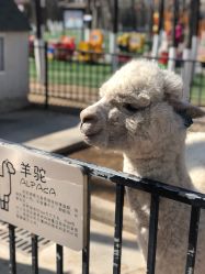 -蓝可可亲子乐园(北苑店)