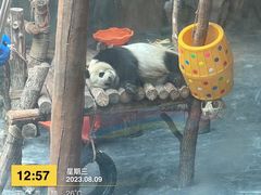 -青藏高原野生动物园