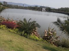 -枫香湖儿童公园