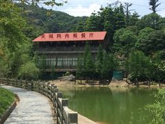 -广州市帽峰山景区