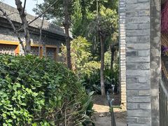 -高旻寺